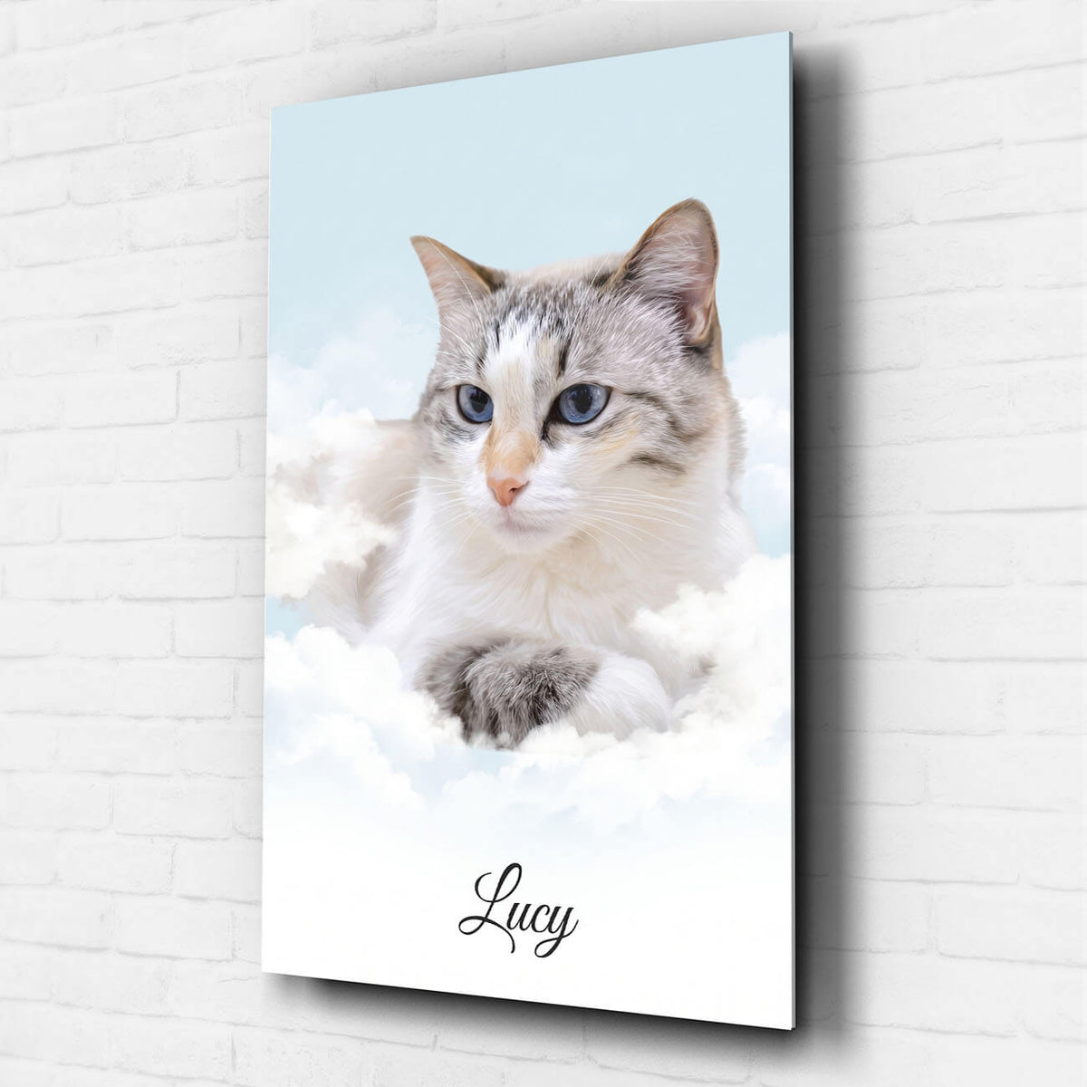 Personalisiertes Katzenportrait auf Wolken nach Foto - Acrylglas
