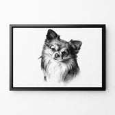 katzenportrait-rahmen-schwarz