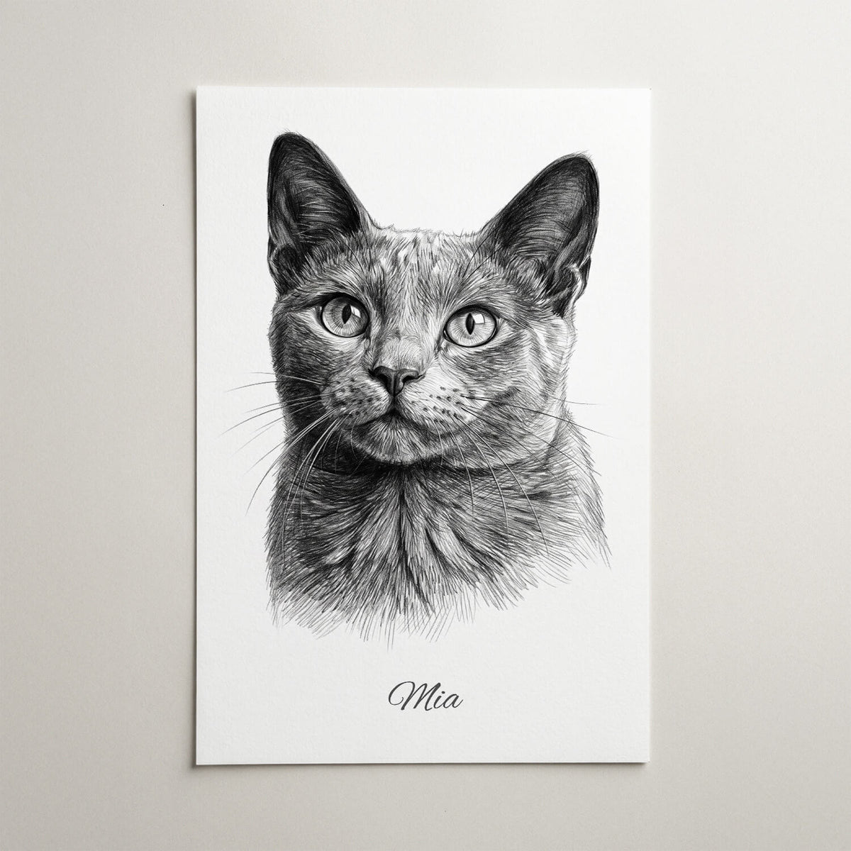 Katzenportrait im Bleistift-Stil nach Foto - Poster